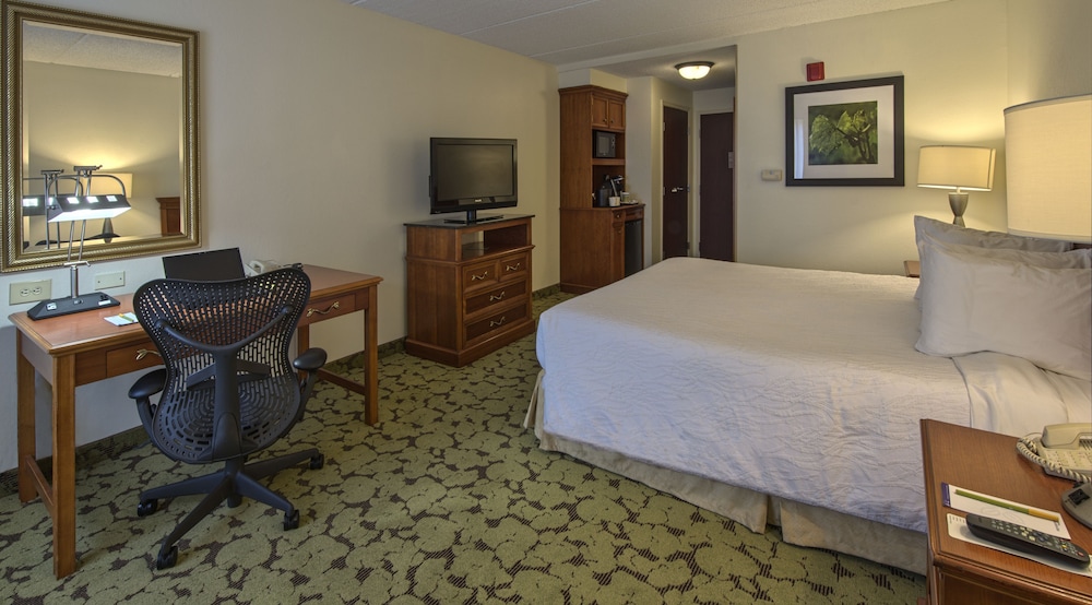 One king bed evolution photo 2