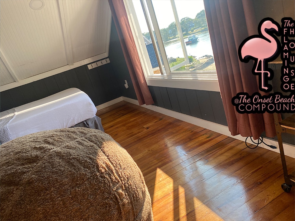 The Flamingo House Experience photo 3