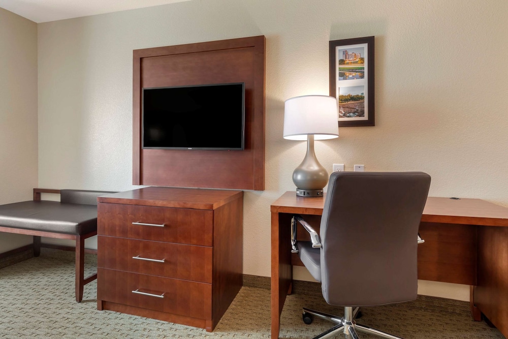 Standard Suite, 1 King Bed with Sofa bed, Non Smoking - Photo 9