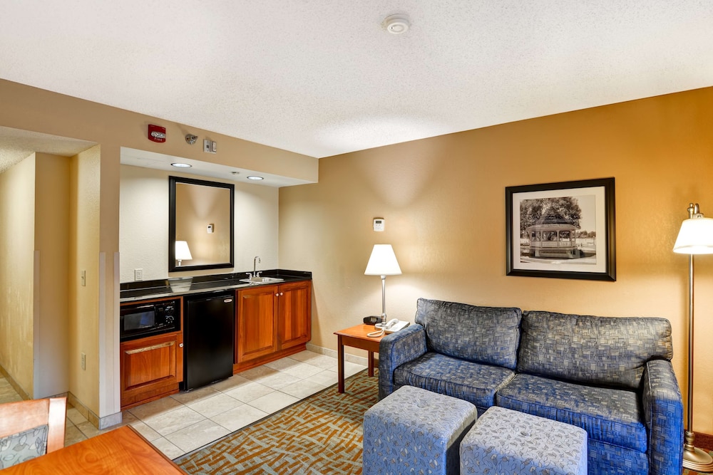 Suite, 1 King Bed, Accessible, Non Smoking - Photo 4