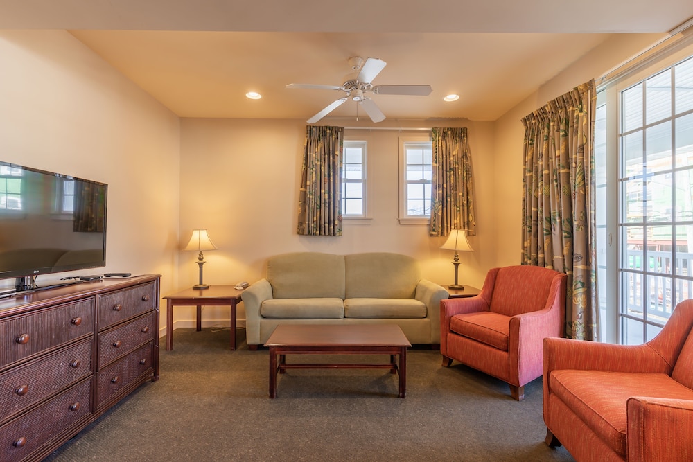 1 Bedroom Apartment 1 King
