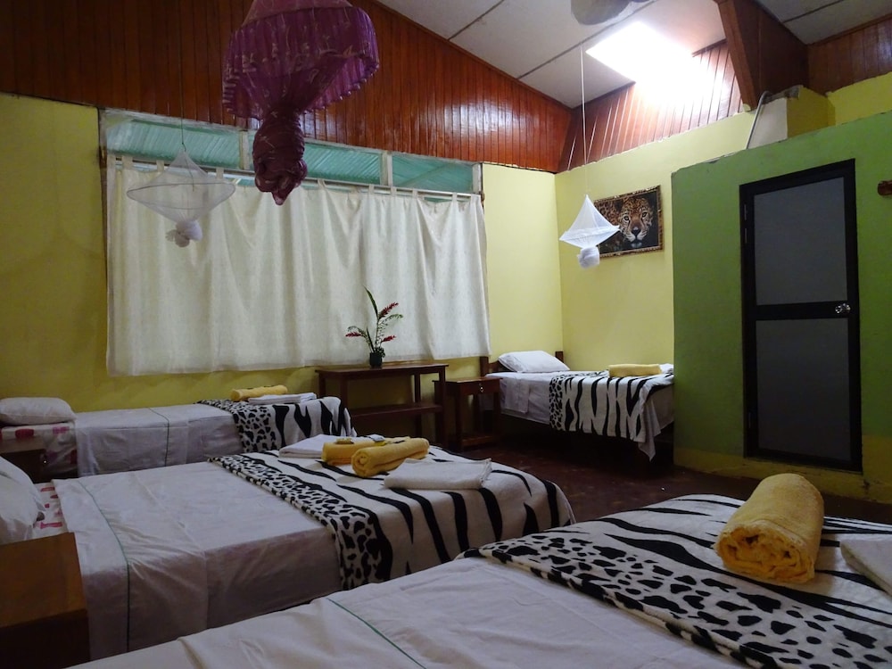 Family Room, Multiple Beds, Private Bathroom photo 1