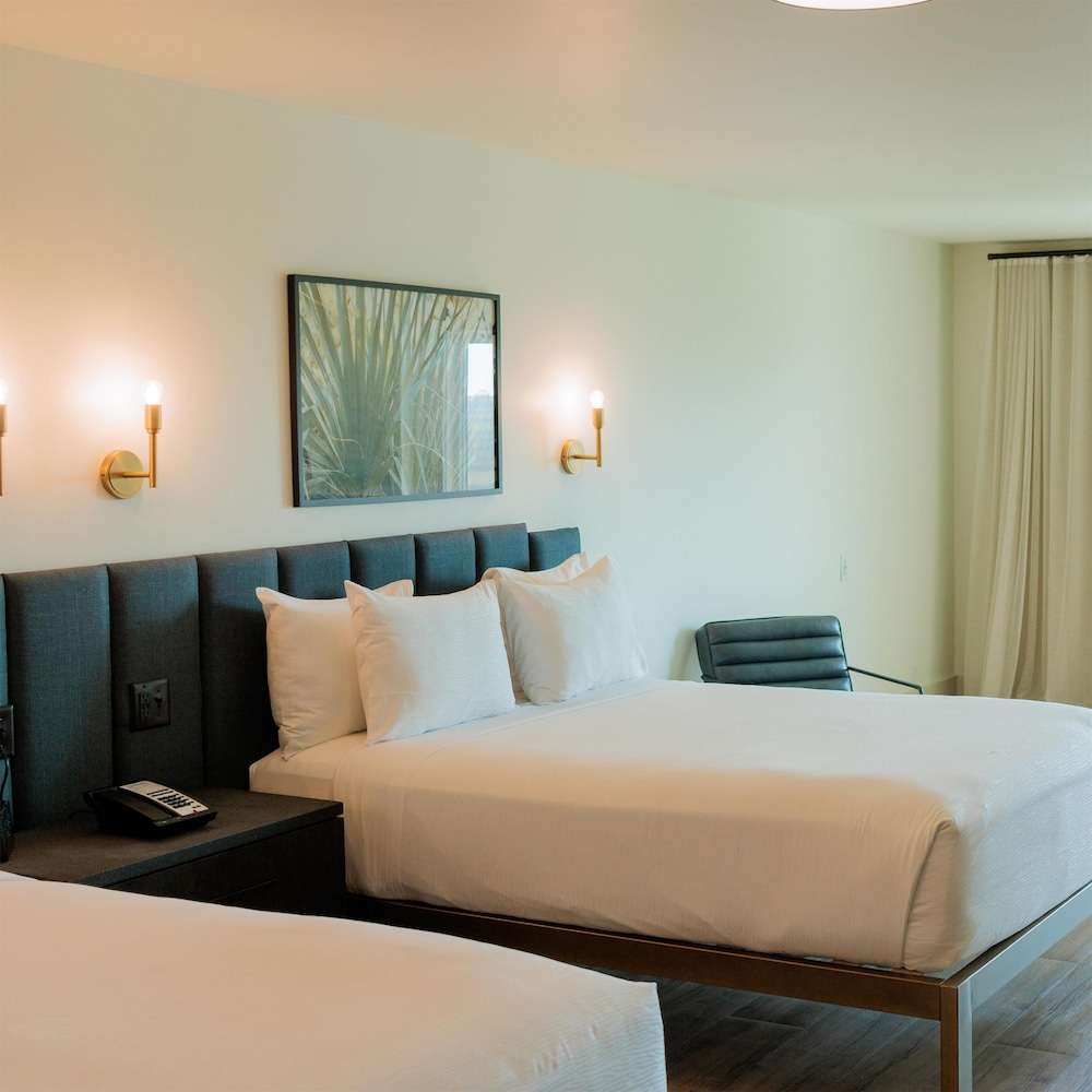 Studio, 2 Queen Beds - Photo 7