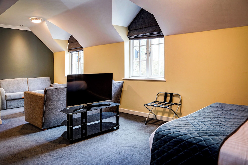 Standard Room, 1 King Bed with Sofa bed, Accessible photo 2