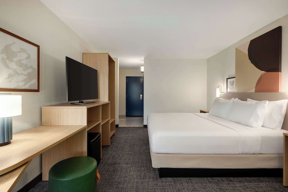 Room, 1 King Bed, Accessible (Mobility & Hearing, Roll-in Shower) - Photo 2