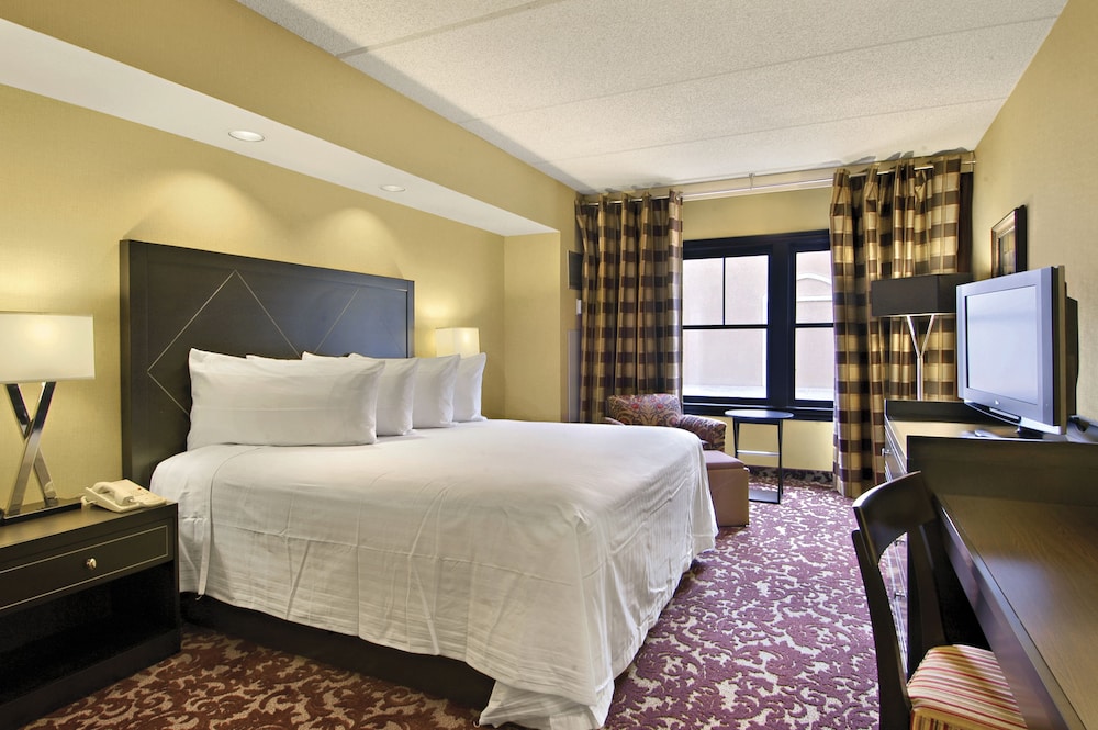 Premium Room, 1 King Bed, Non Smoking photo 1