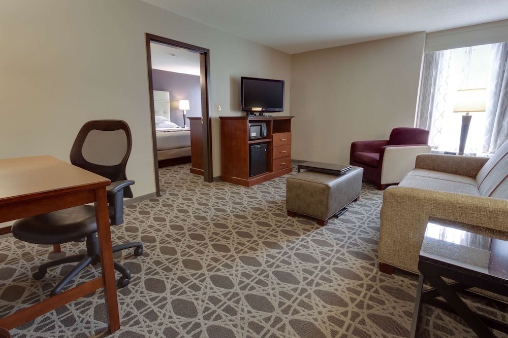 Suite, 1 King Bed with Sofa bed, Refrigerator & Microwave (2 Rooms) photo 1