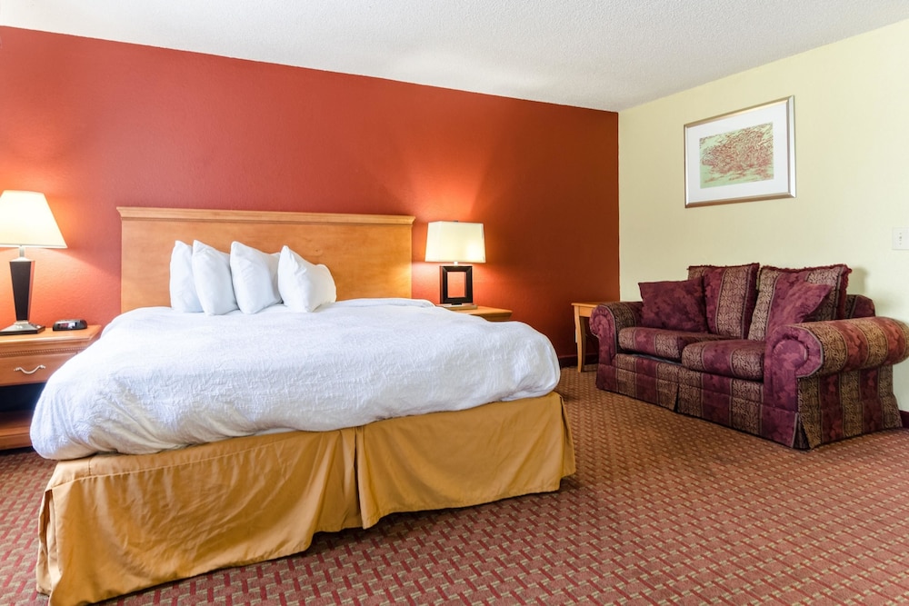 Room, 1 King Bed, Accessible, Non Smoking photo 1