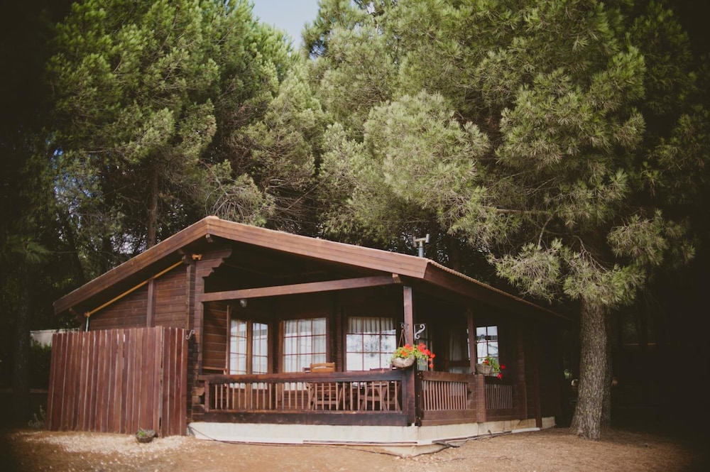 Chalet photo 2