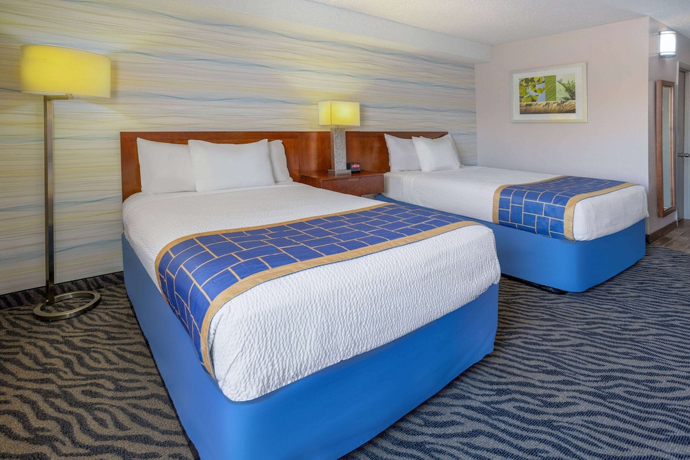 Premium Room, 2 Double Beds photo 1
