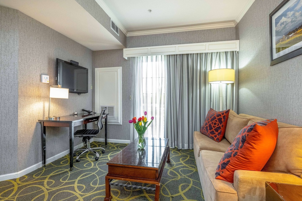 Suite, 1 Queen Bed, Accessible, Kitchenette (with Sofabed) - Photo 3
