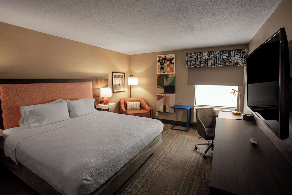 Room, 1 King Bed, Accessible - Photo 3