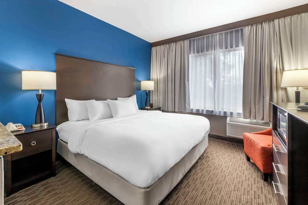 Suite, 1 King Bed with Sofa bed, Non Smoking