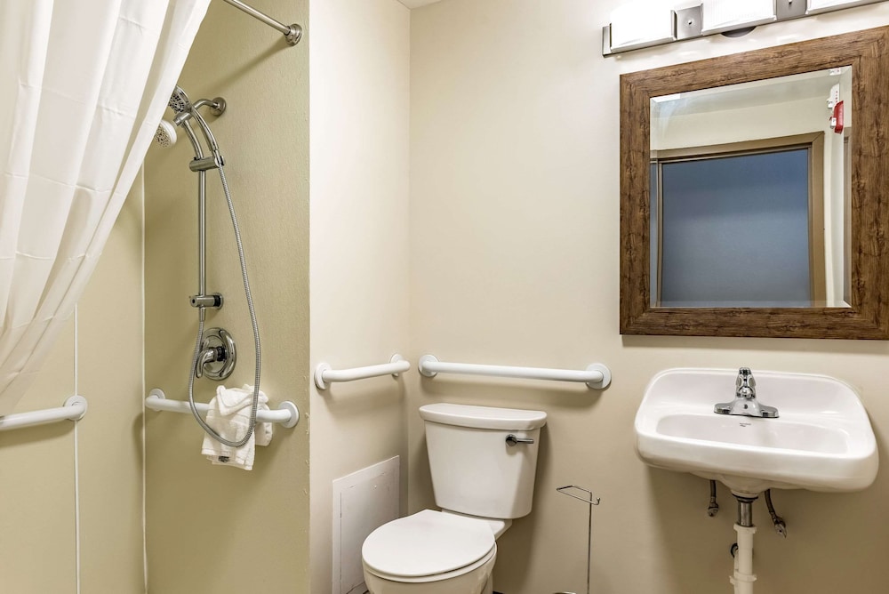 Room, 1 King Bed, Accessible, Non Smoking (Roll-In Shower) - Photo 1