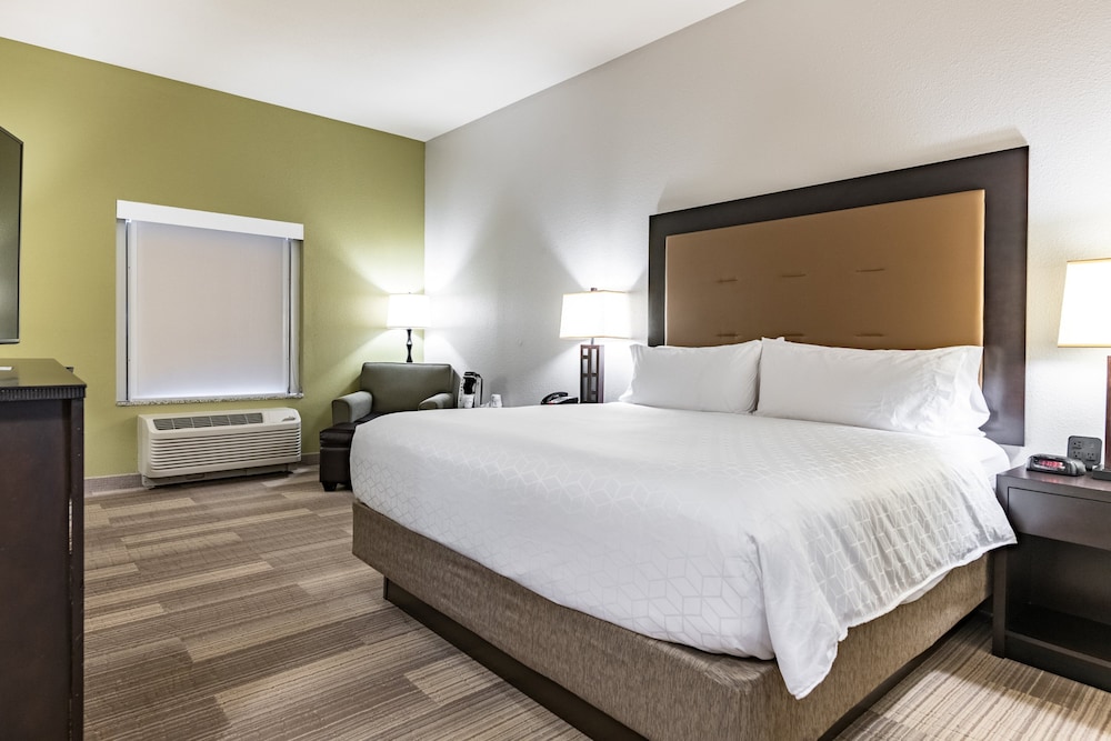Room, 1 King Bed with Sofa bed, Accessible (Communications) photo 1