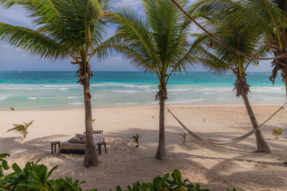 OCEANFRONT SUITE WITH TERRACE - Photo 13