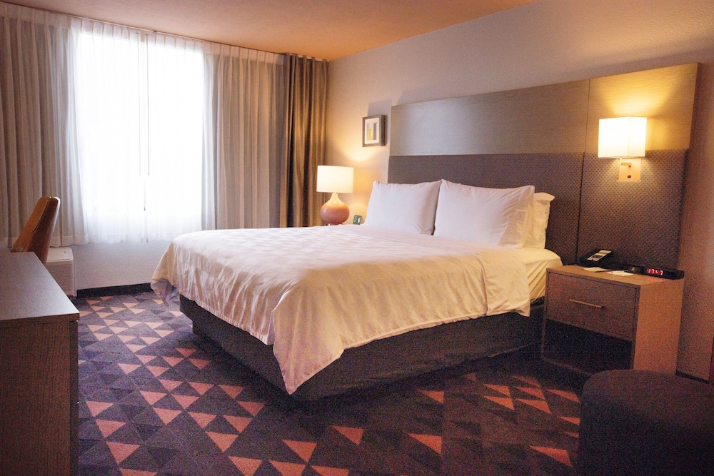 Standard Room, 1 King Bed, Accessible (Communications, Accessible Tub) - Photo 2