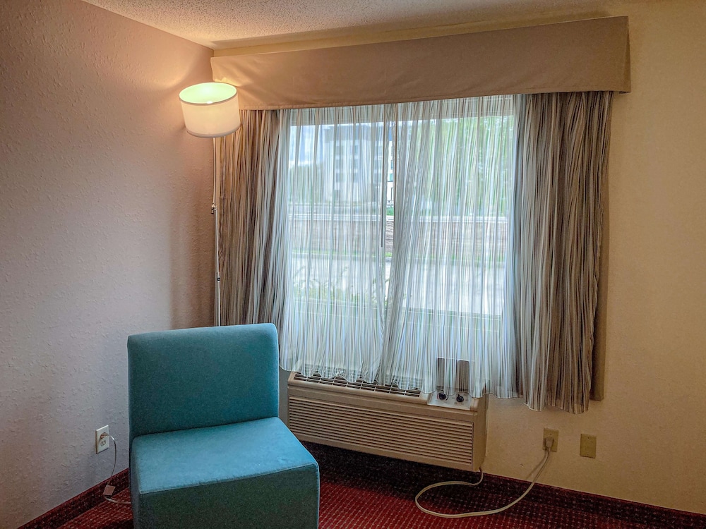Deluxe Suite, 1 King Bed, Non Smoking, Refrigerator & Microwave