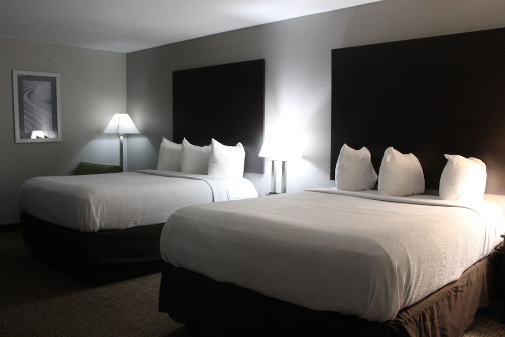 Room, 1 Queen Bed, Accessible, Non Smoking photo 3
