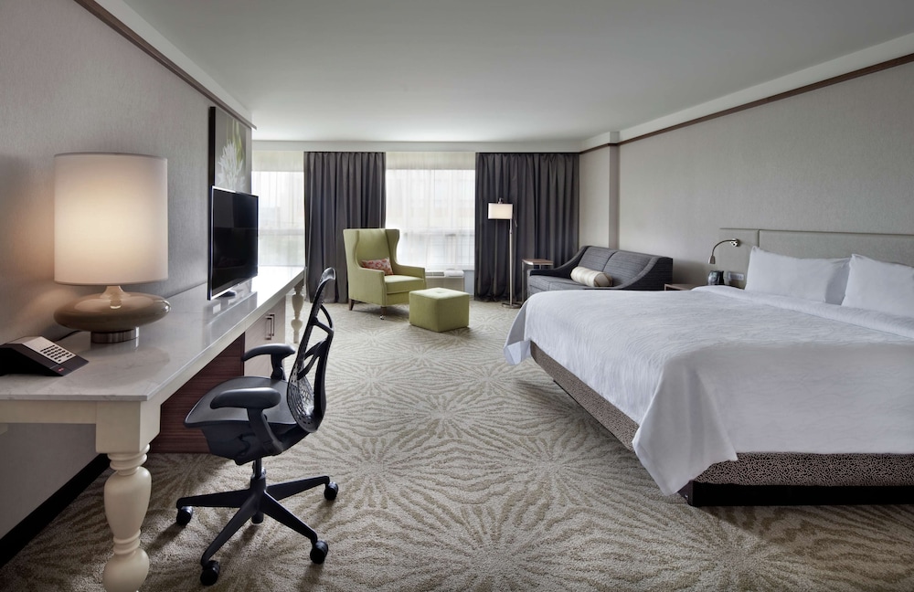 Suite, 1 King Bed with Sofa bed, Kitchen photo 3