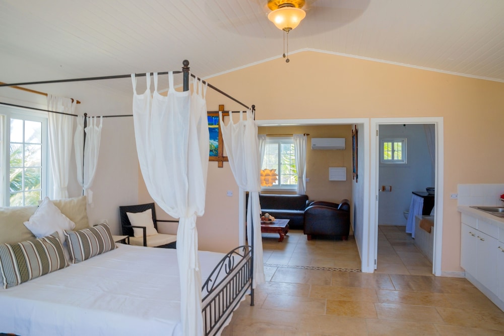 Panoramic Suite, Ocean View photo 3