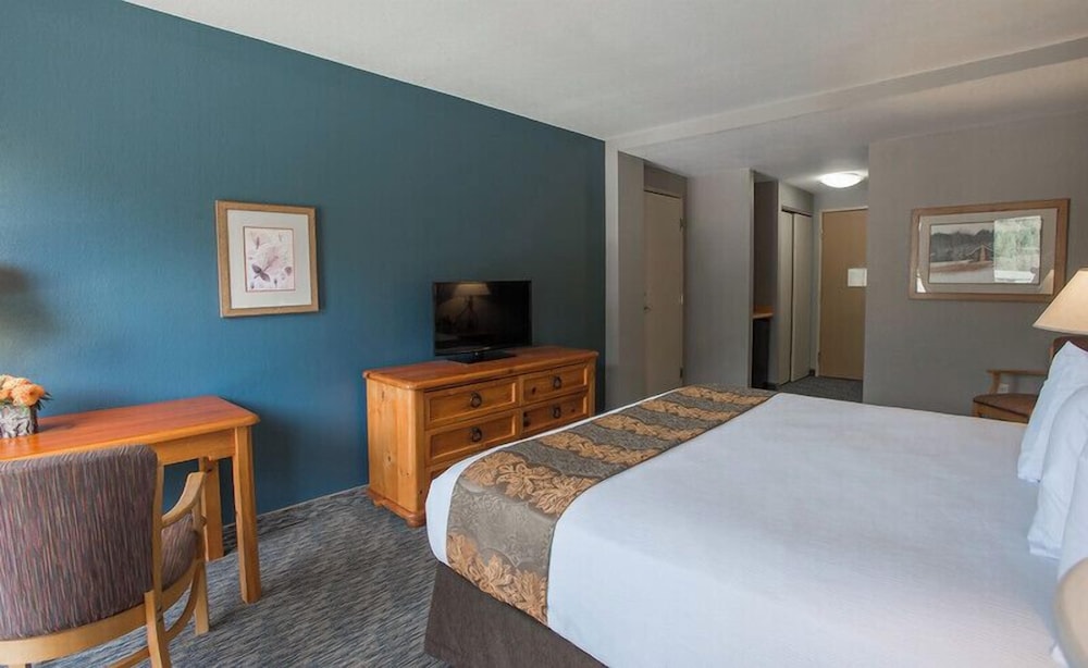 Basic Room, 1 King Bed photo 1
