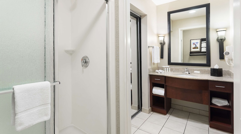 Studio, 1 King Bed, Accessible (Mobility & Hearing, Roll-in Shower) - Photo 6