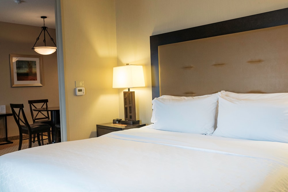 Suite, 1 King Bed, Accessible (Mobility, Roll-In Shower) photo 1
