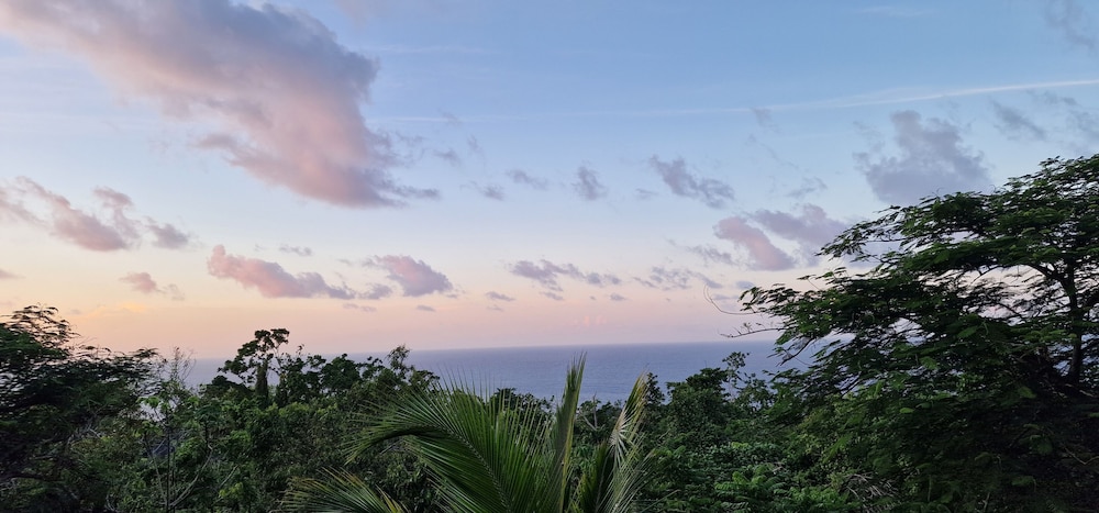 Elite Room, 1 King Bed, Ocean View photo 3