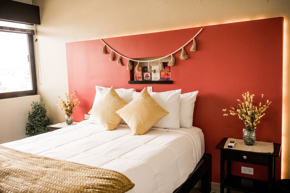 Comfort Single Room photo 1