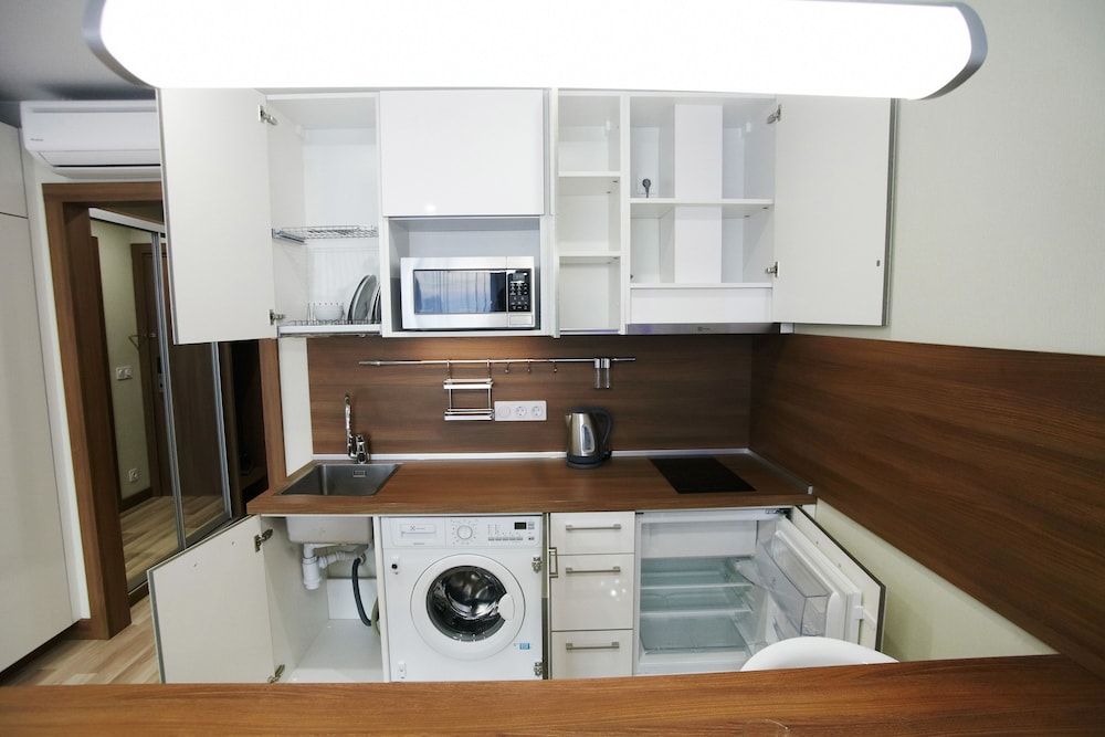 Superior Studio, 1 Queen Bed, Kitchen, Park View photo 3