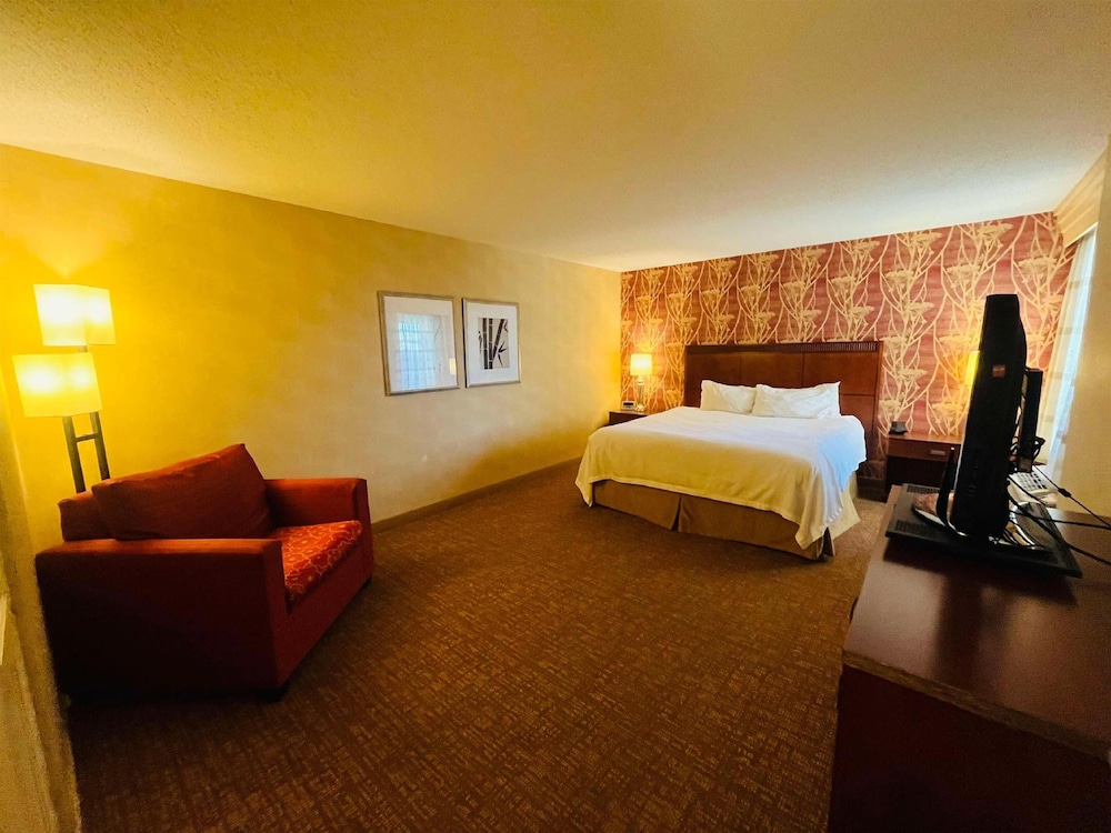Suite, 1 King Bed, Accessible - Photo 1