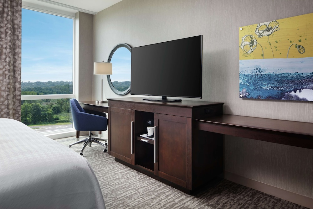Room, 1 King Bed, Accessible, City View (Hearing) photo 1