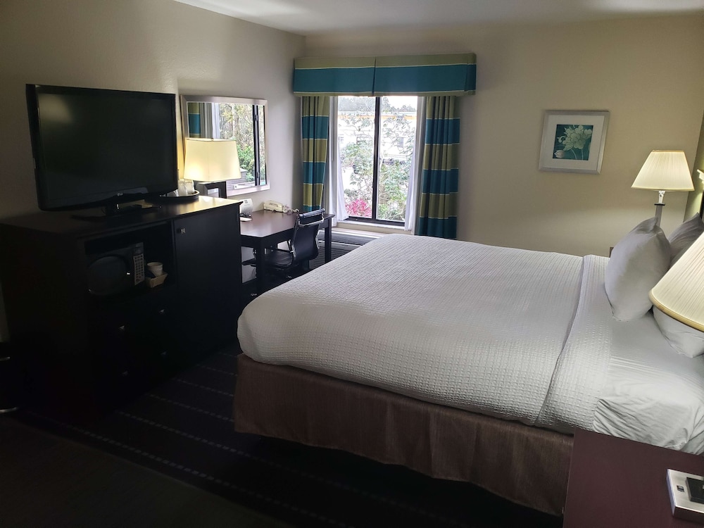 Standard Room, 1 King Bed, Non Smoking, Refrigerator & Microwave - Photo 6
