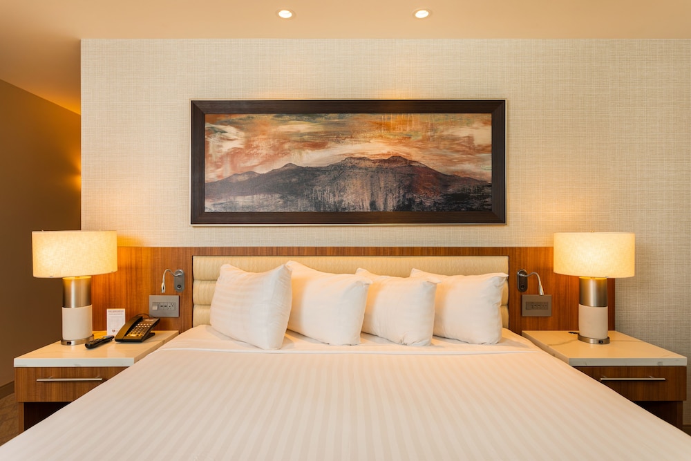 Premier Suite (21 or older only) photo 2