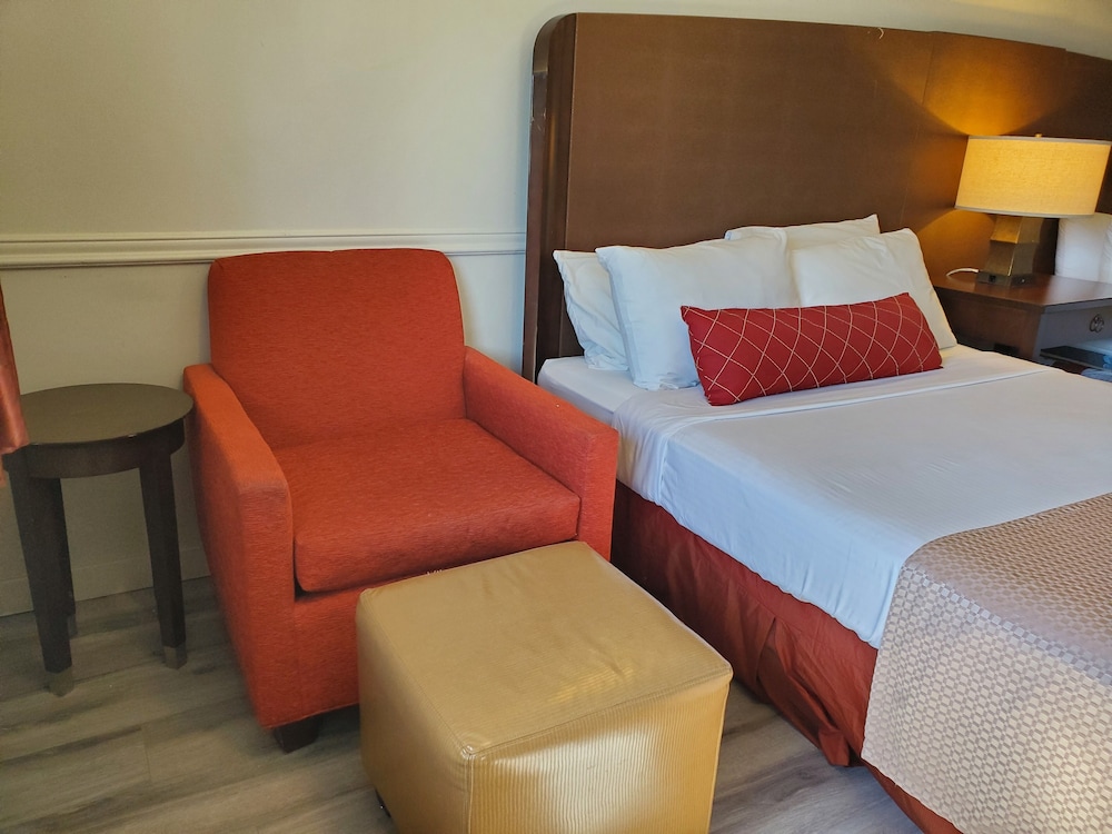 Room, 2 Queen Beds photo 2