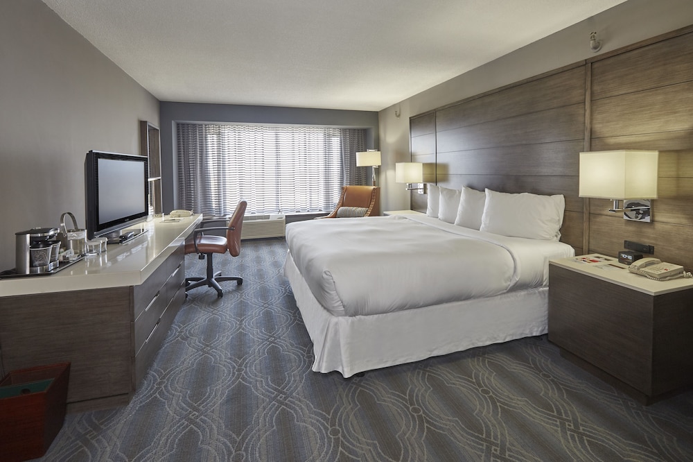 Room, 1 King Bed (Oversized) - Photo 1