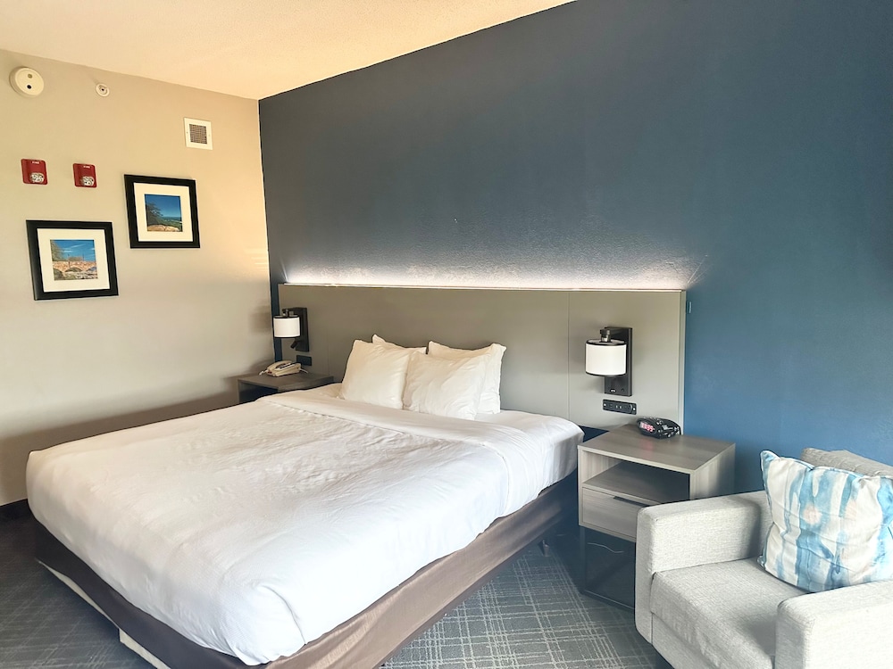 Business Room, 1 King Bed, Accessible, Non Smoking - Photo 6