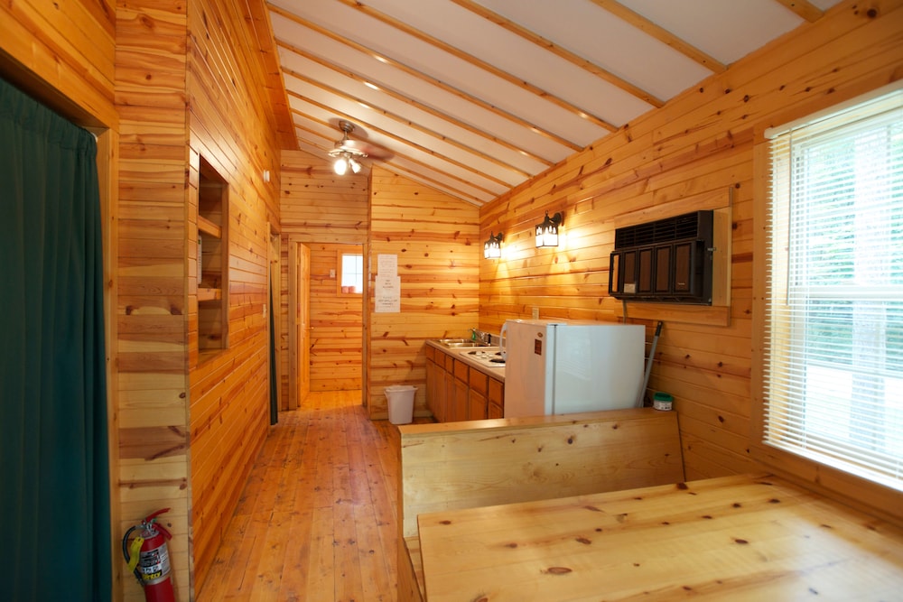 Cabin, Multiple Beds (Bath & Shower) photo 2