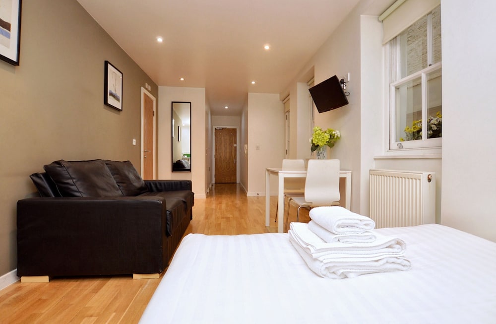 Deluxe Lower Ground Floor Studio photo 2