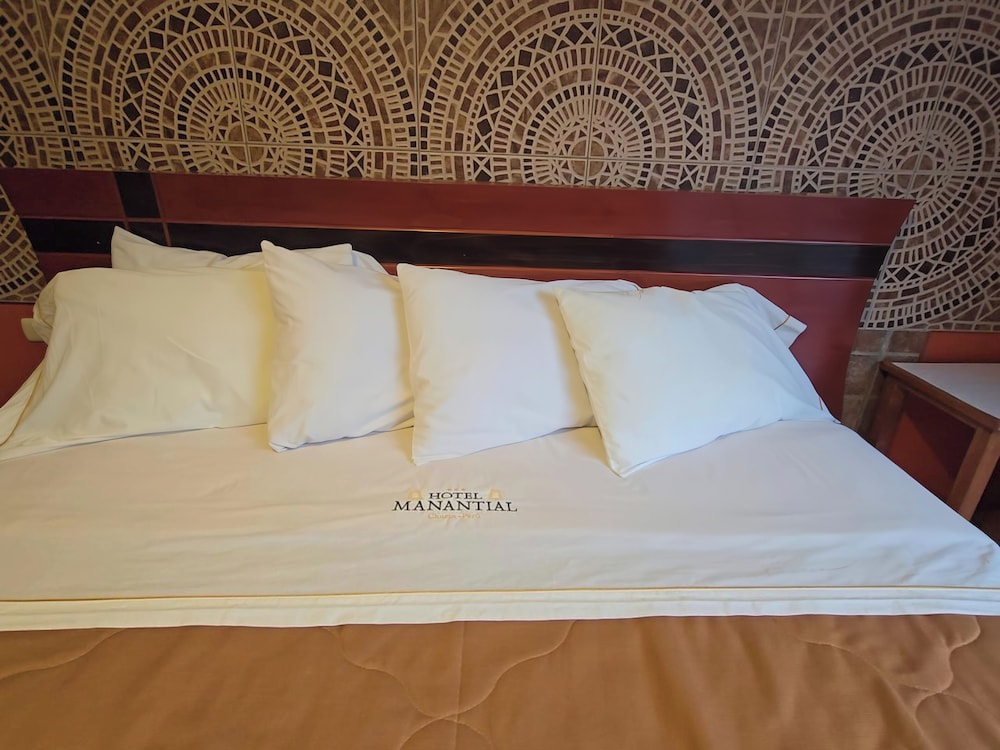 Premium Single Room photo 3