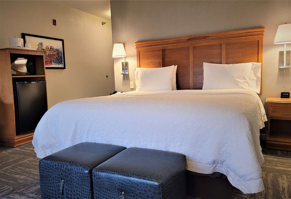 Room, 1 King Bed, Accessible, Non Smoking - Photo 1