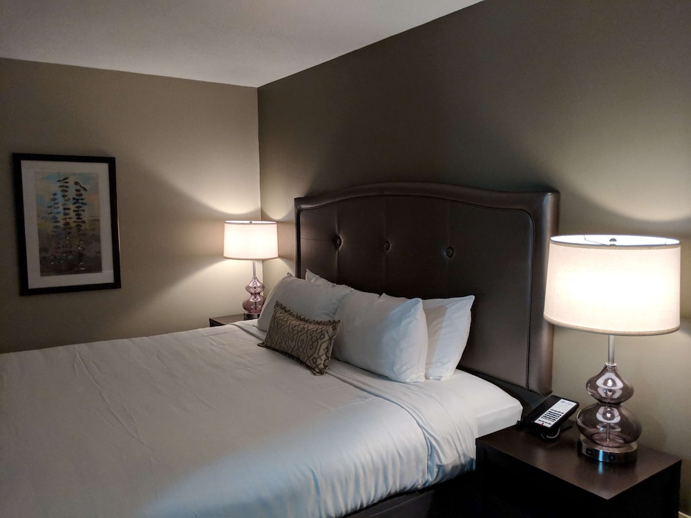 Executive Room, 1 King Bed, Refrigerator & Microwave, Lake View photo 3