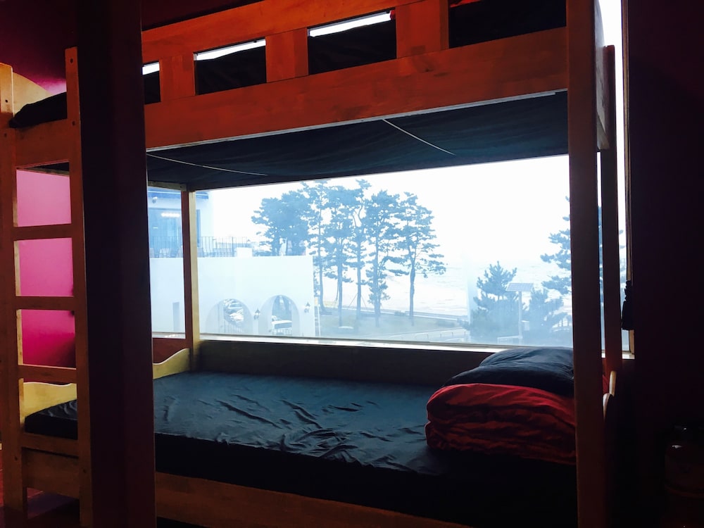 Shared Dormitory, Women only (6 persons) photo 2