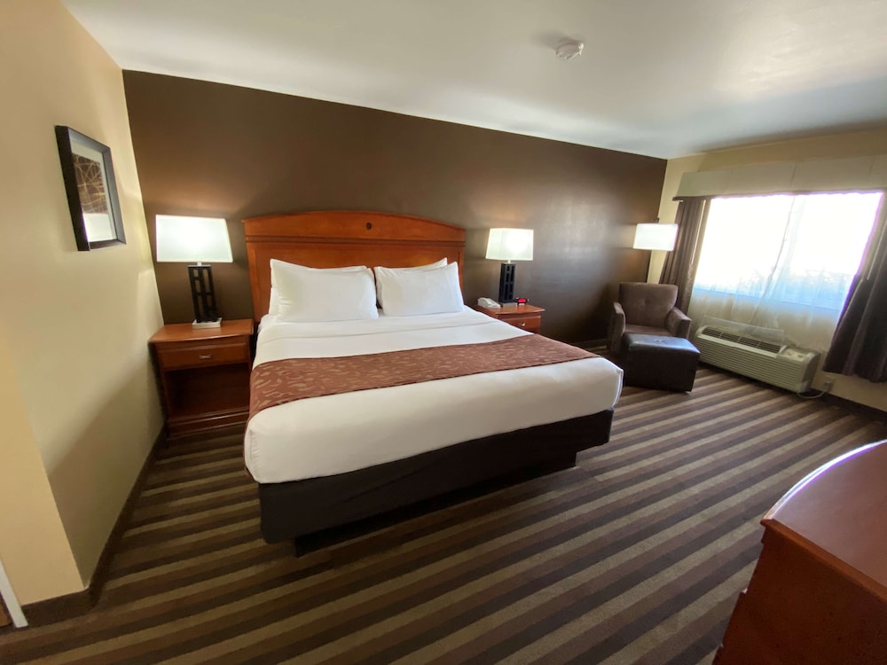 Business Room, 1 King Bed, Non Smoking photo 3