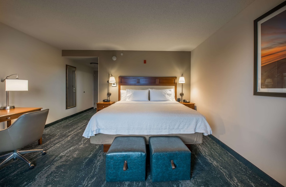 Standard Room, 1 King Bed, Non Smoking photo 2