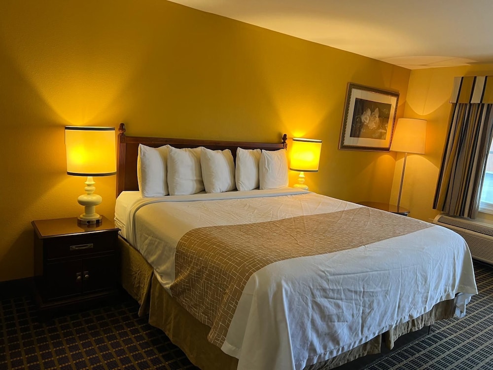 Deluxe Room, 1 King Bed photo 1