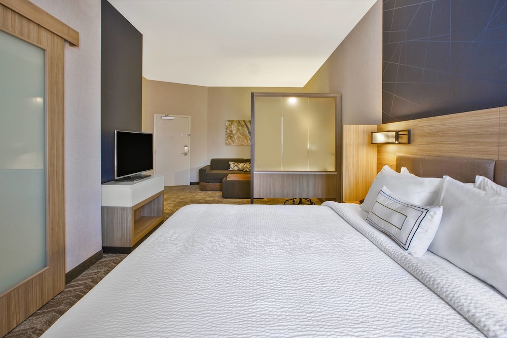 Suite, 1 King Bed with Sofa bed (Hearing Accessible) photo 2