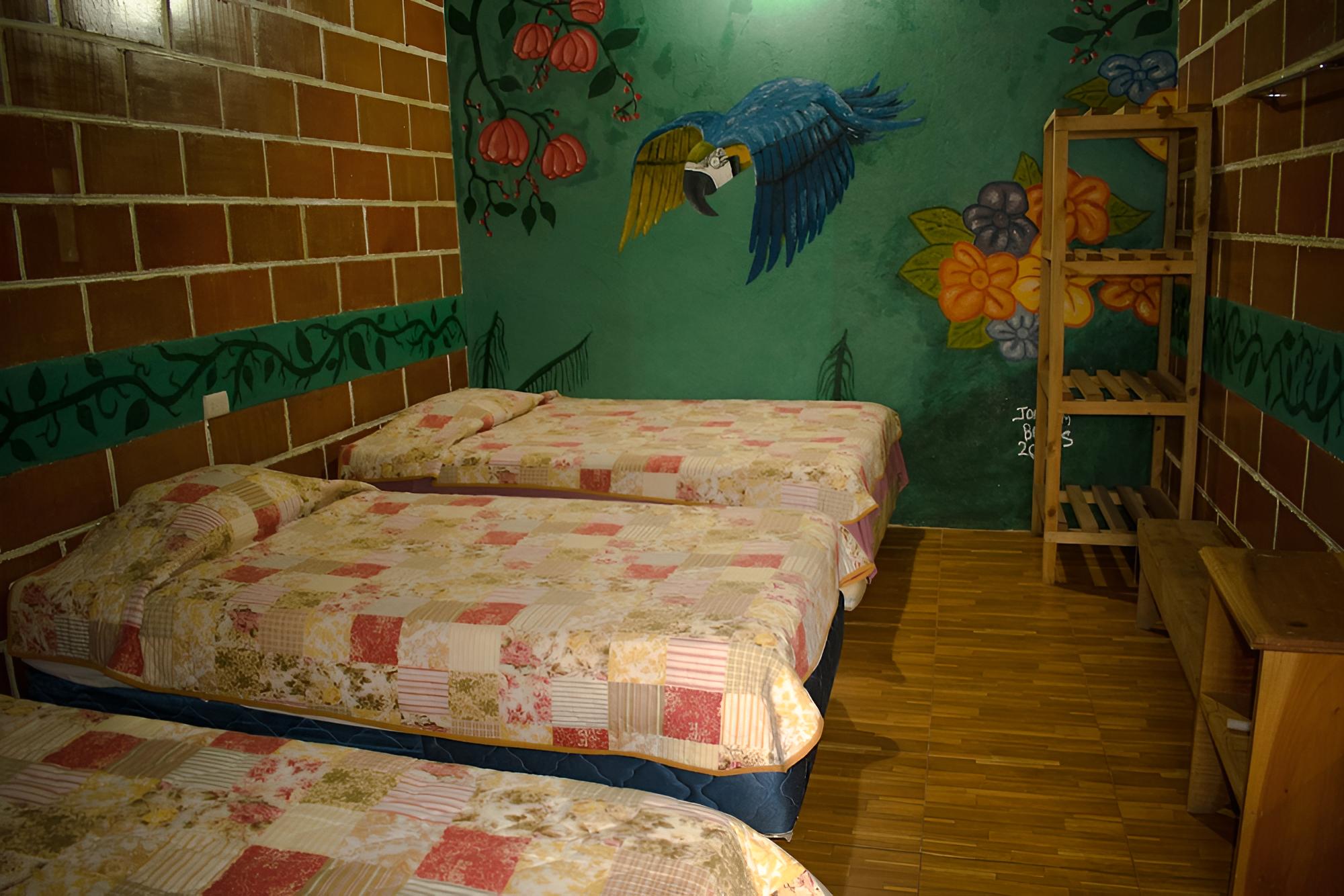 Shared Dormitory photo 2