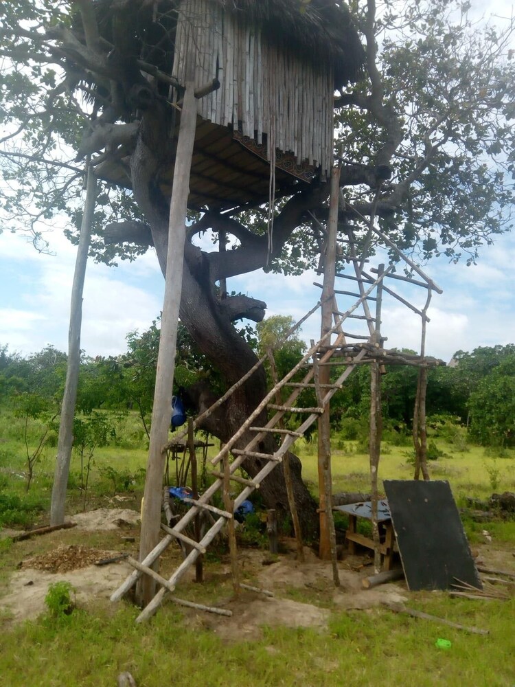 Basic Tree House photo 3